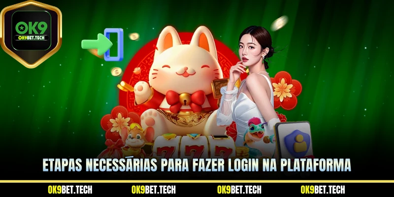 Etapas necessárias para fazer login na plataforma